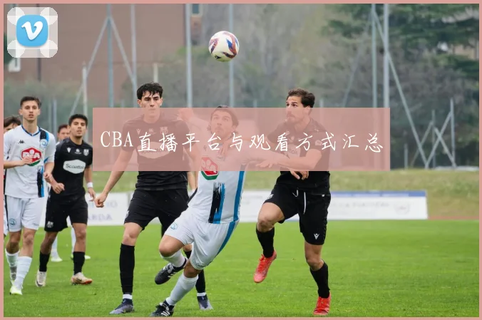 CBA直播平台与观看方式汇总